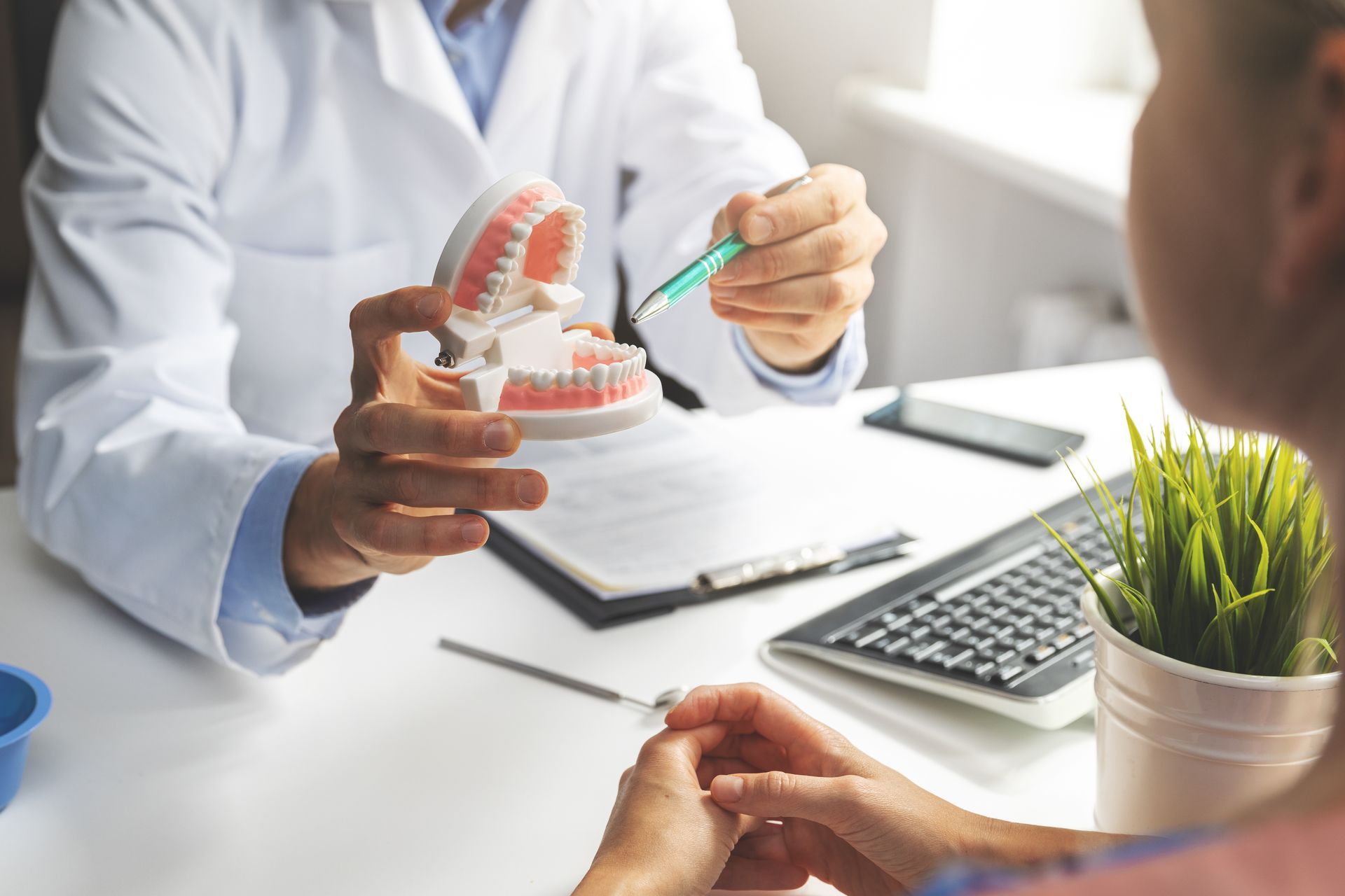 Dentist showing a tooth model to a patient in a bright clinic office Dentist showing a tooth model to a patient in a bright clinic office