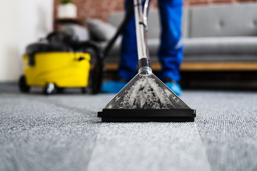 Cleaning House Carpet