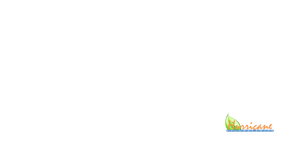 Premier Carpet Cleaning Premier Carpet Cleaning