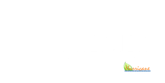 Premier Carpet Cleaning Premier Carpet Cleaning