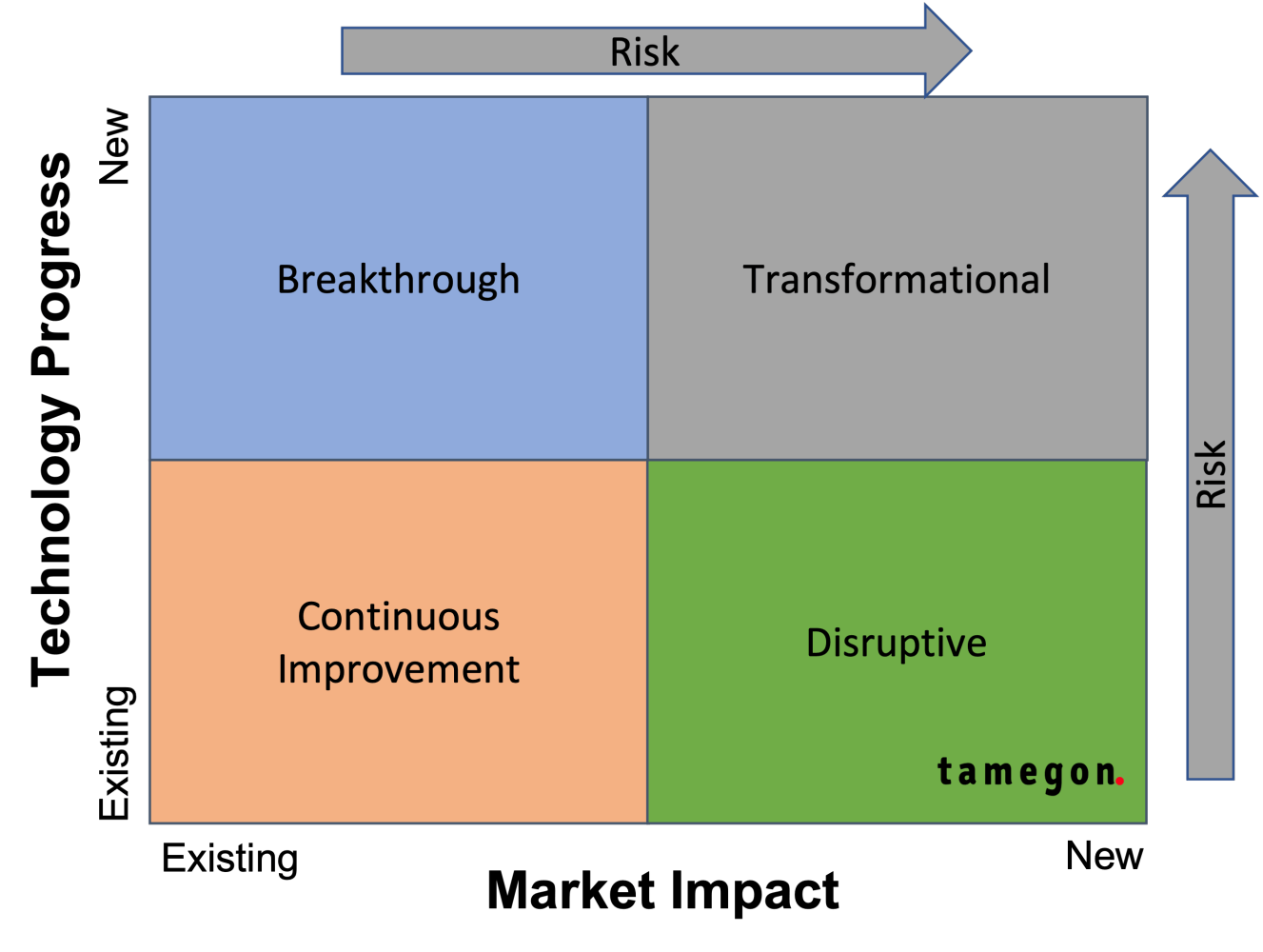 Innovation typology - tamegon Innovation Advisory Firm