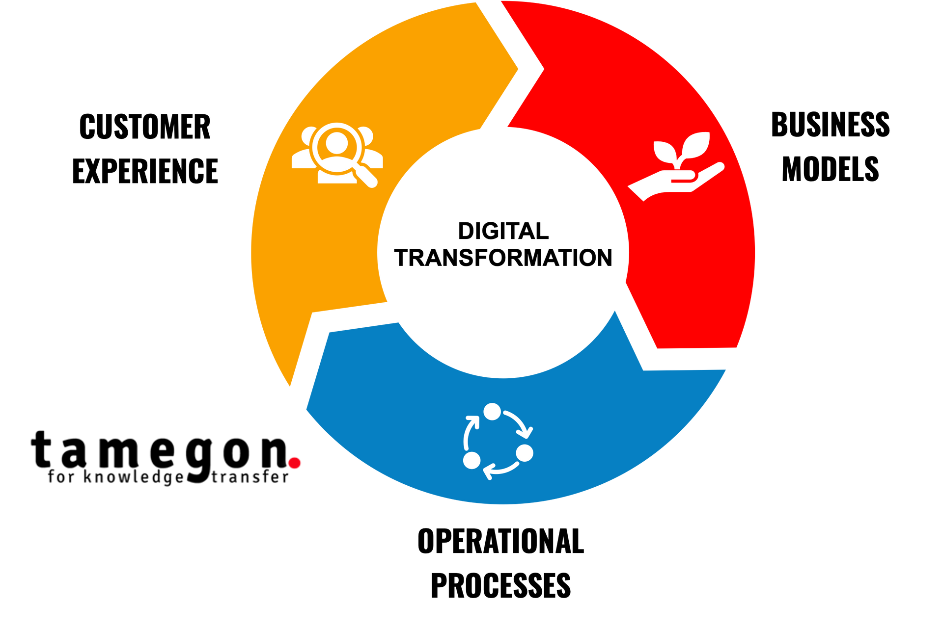 Digital Transformation areas - tamegon Innovation Advisory Firm