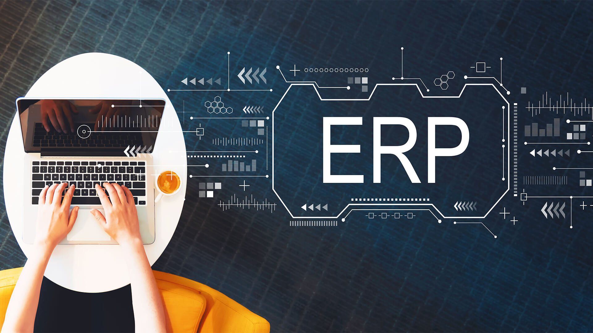 Build or Buy an ERP solution? tamegon Innovation Advisory Firm