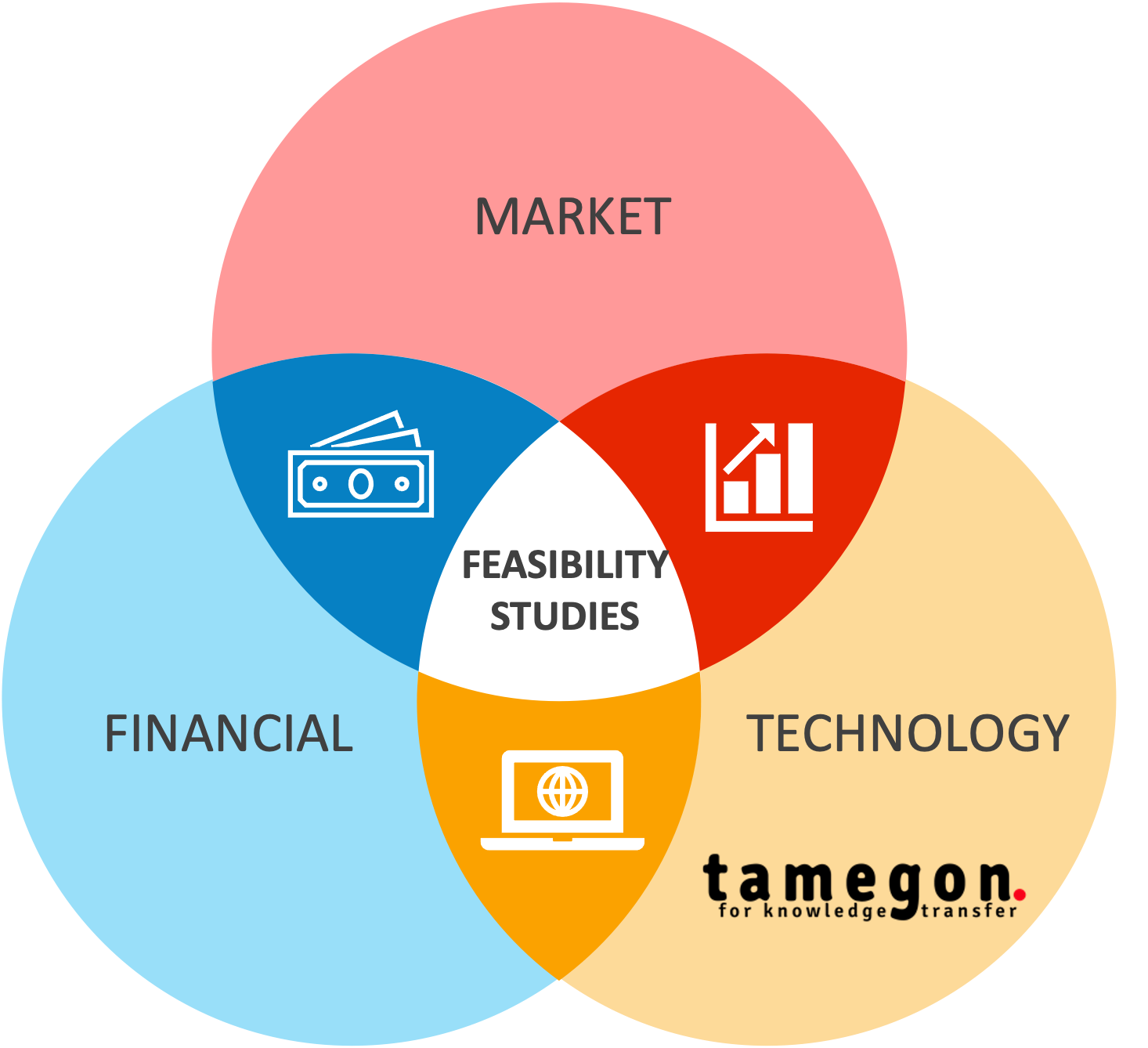 Feasibility Studies tamegon Feasibility Studies - tamegon Innovation Advisory Firm