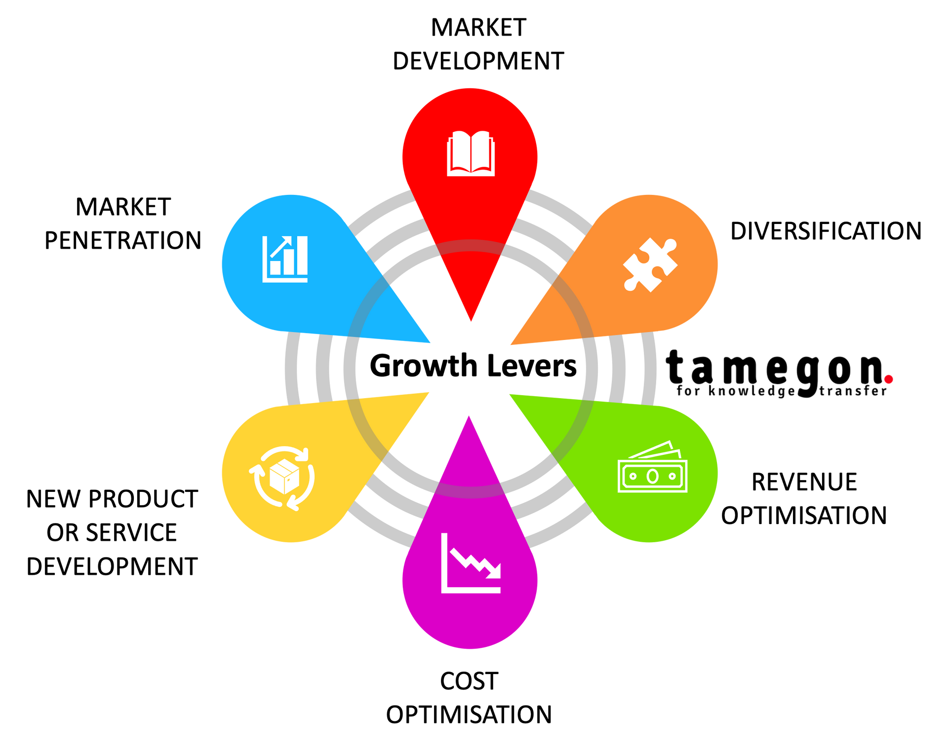 Growth strategies - tamegon Innovation Advisory Firm