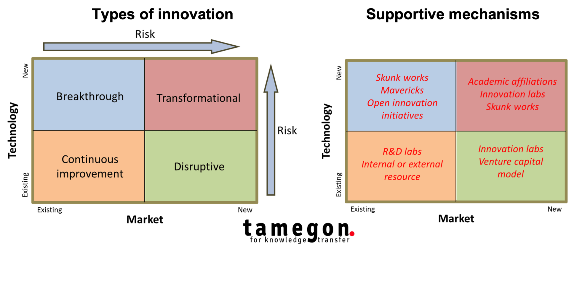 Types of Innovation  and Innovation Support Mechanisms- tamegon Innovation Advisory Firm