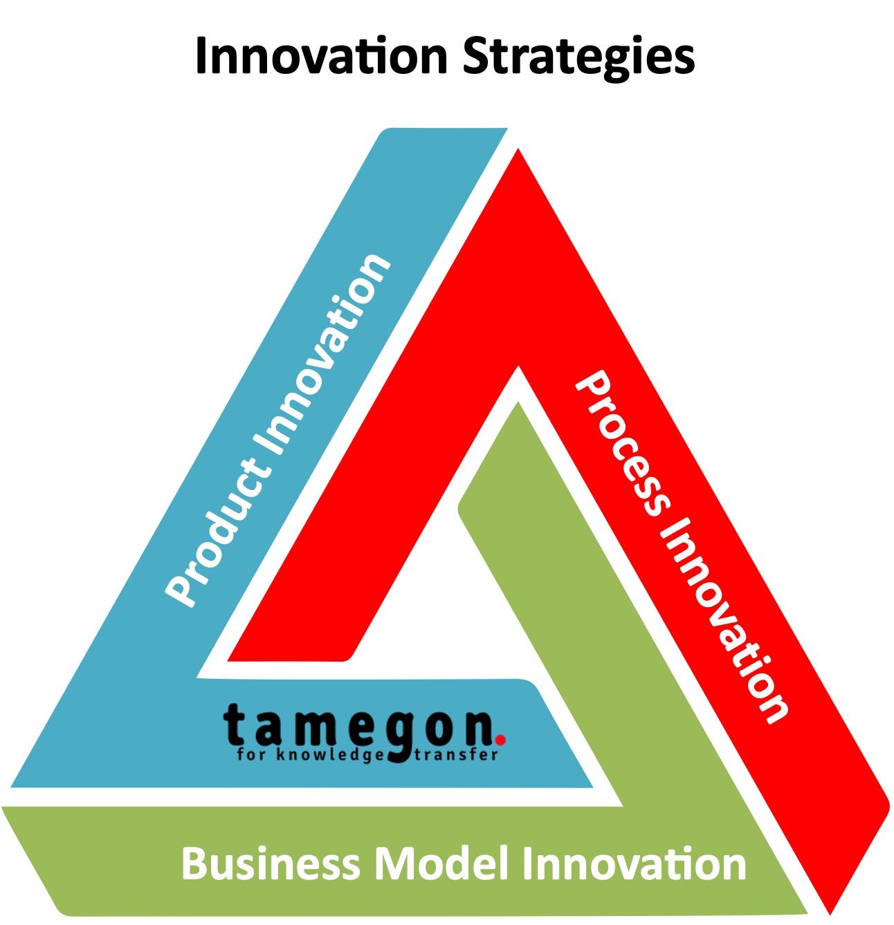 Innovation Strategies tamegon Innovation Strategies tamegon - tamegon Innovation Advisory Firm