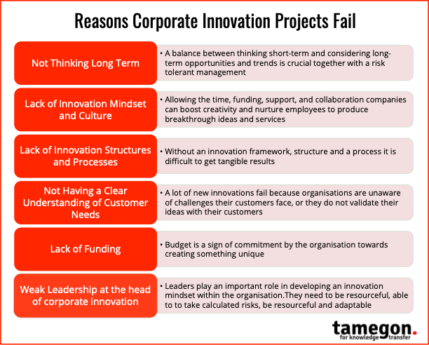 Why corporate innovation projects fail - tamegon Innovation Advisory Firm