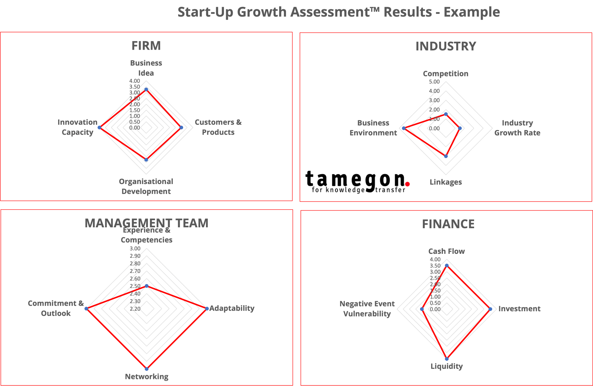 Start-up Growth Assessment™️ Start-up Growth Assessment™️ tool - tamegon Innovation Advisory Firm