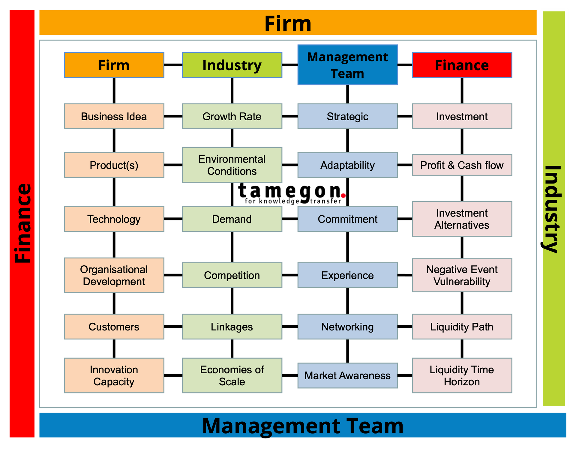 Start-up Growth Assessment™️ tool - tamegon Innovation Advisory Firm