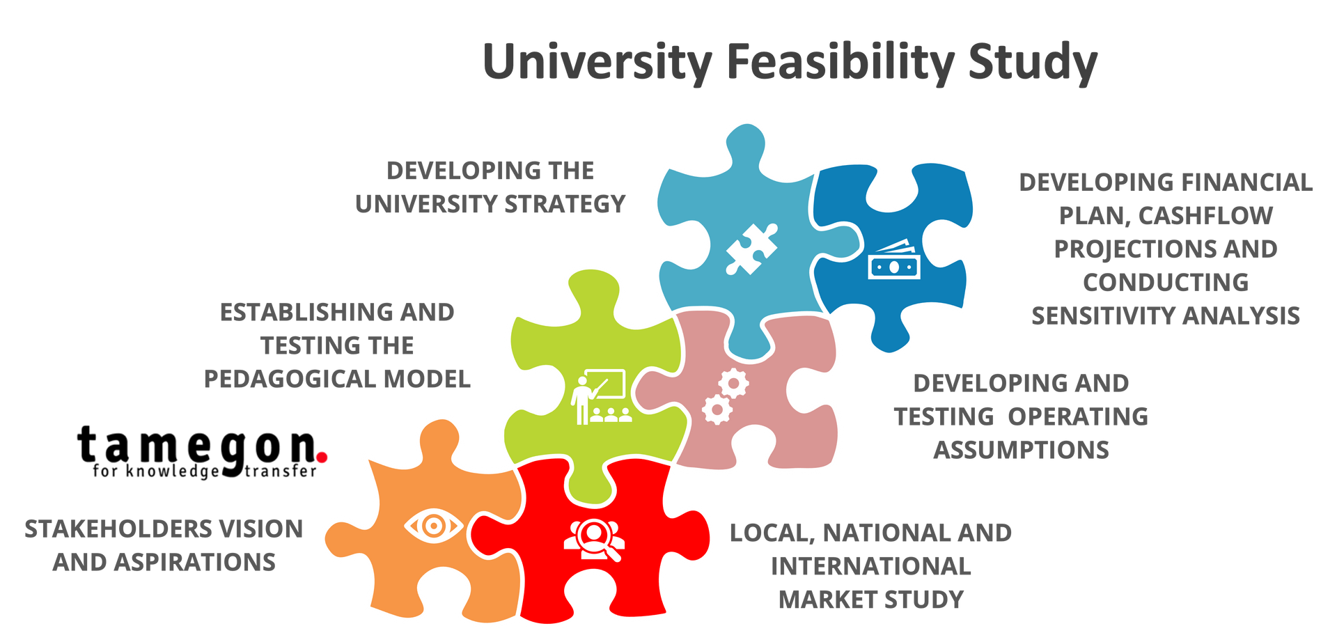 Launching and building from the ground up new universities - tamegon Innovation Advisory Firm