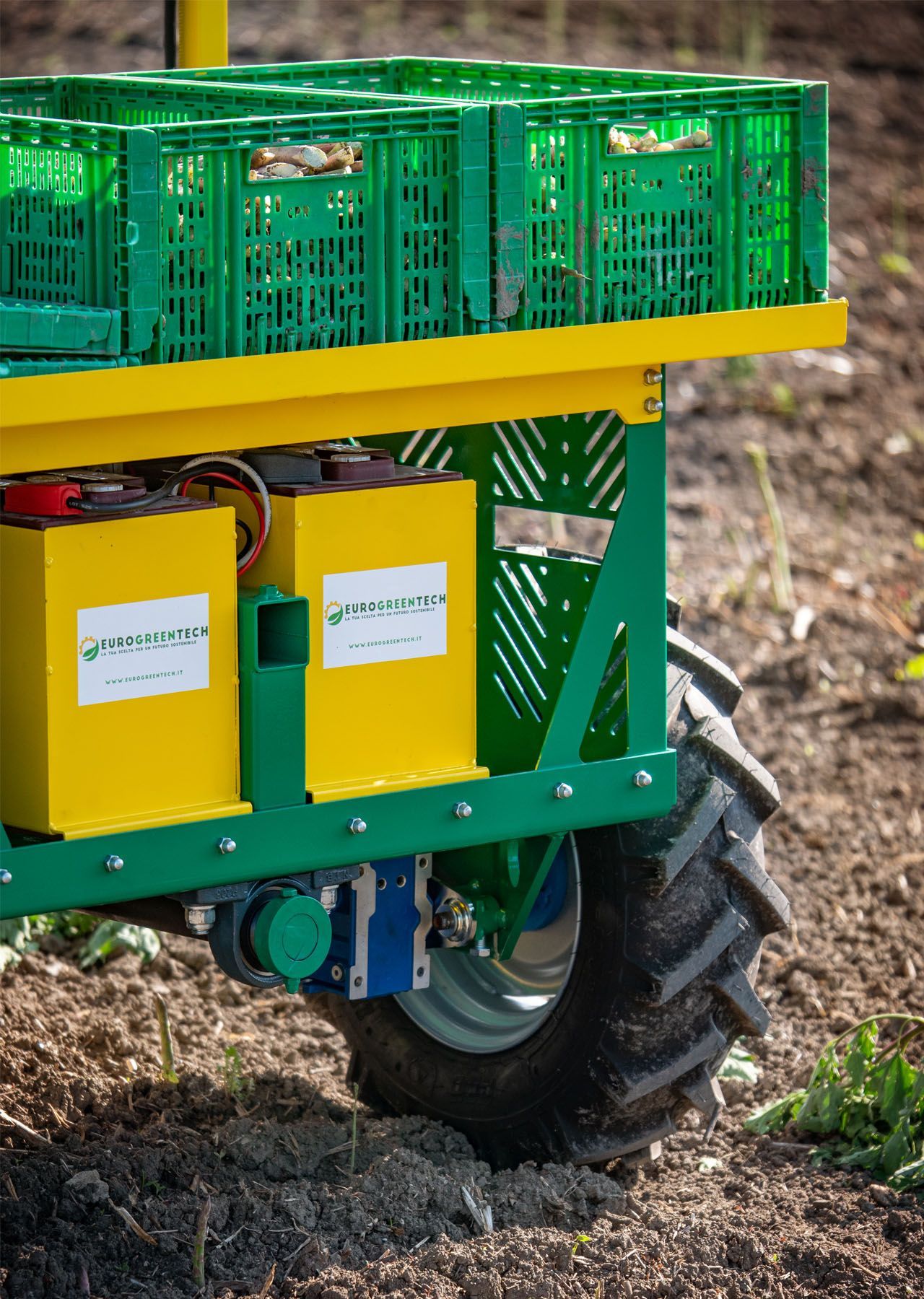 EGT - Agevolatrice elettrica per la raccolta manuale dell'asparago
