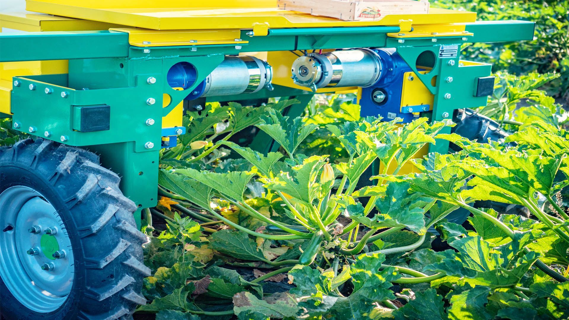 Raccoglitrice per ortaggi euro green tech
