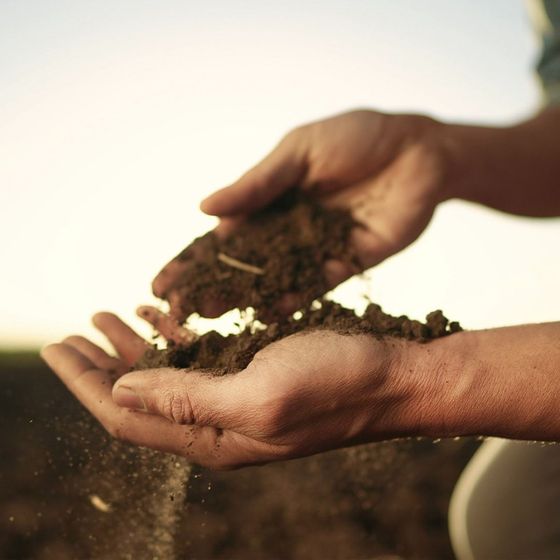 Agricoltura sostenibile. Agevolatrici elettriche, innovazioni agricole, agevolatrici con pannelli fotovoltaici