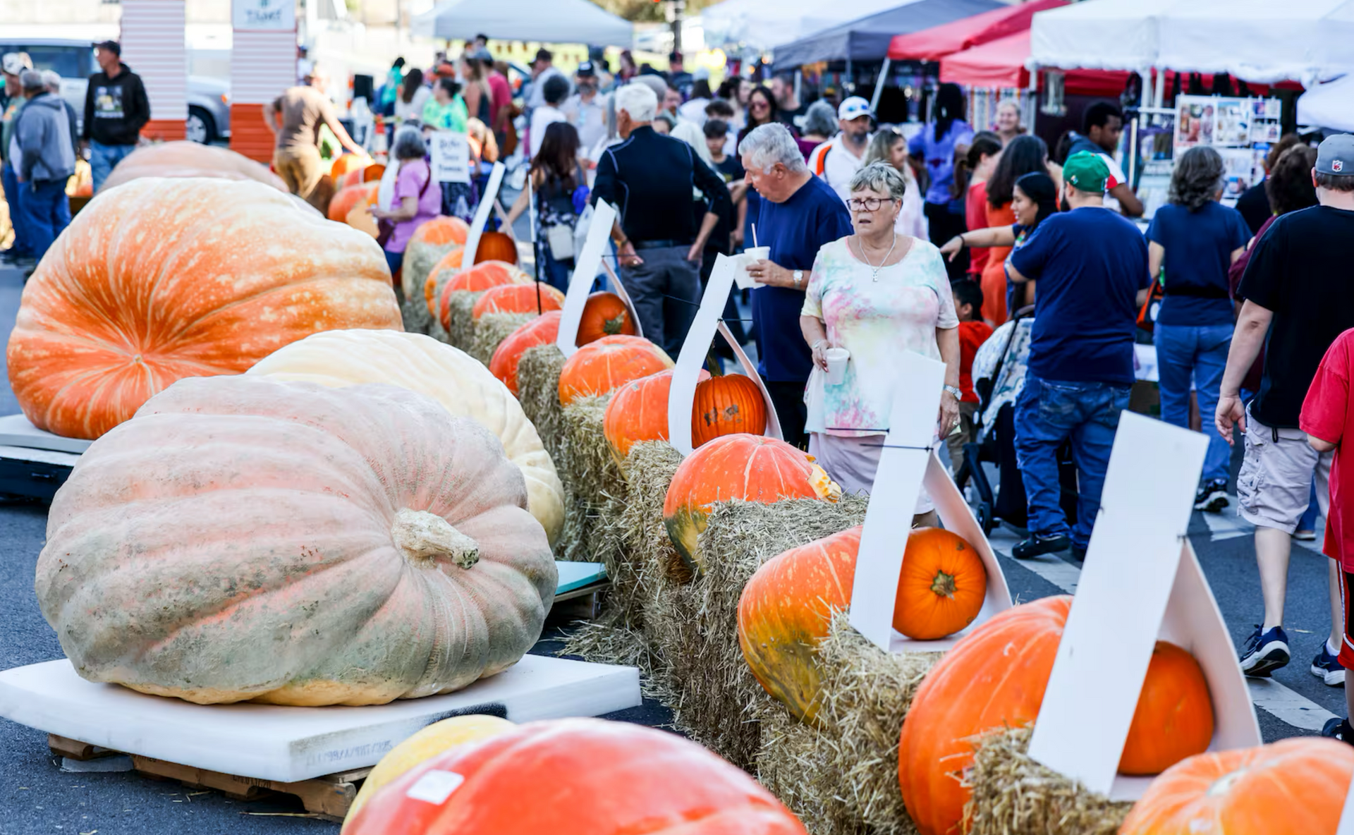 A group of people are standing around pumpkins at a festival.