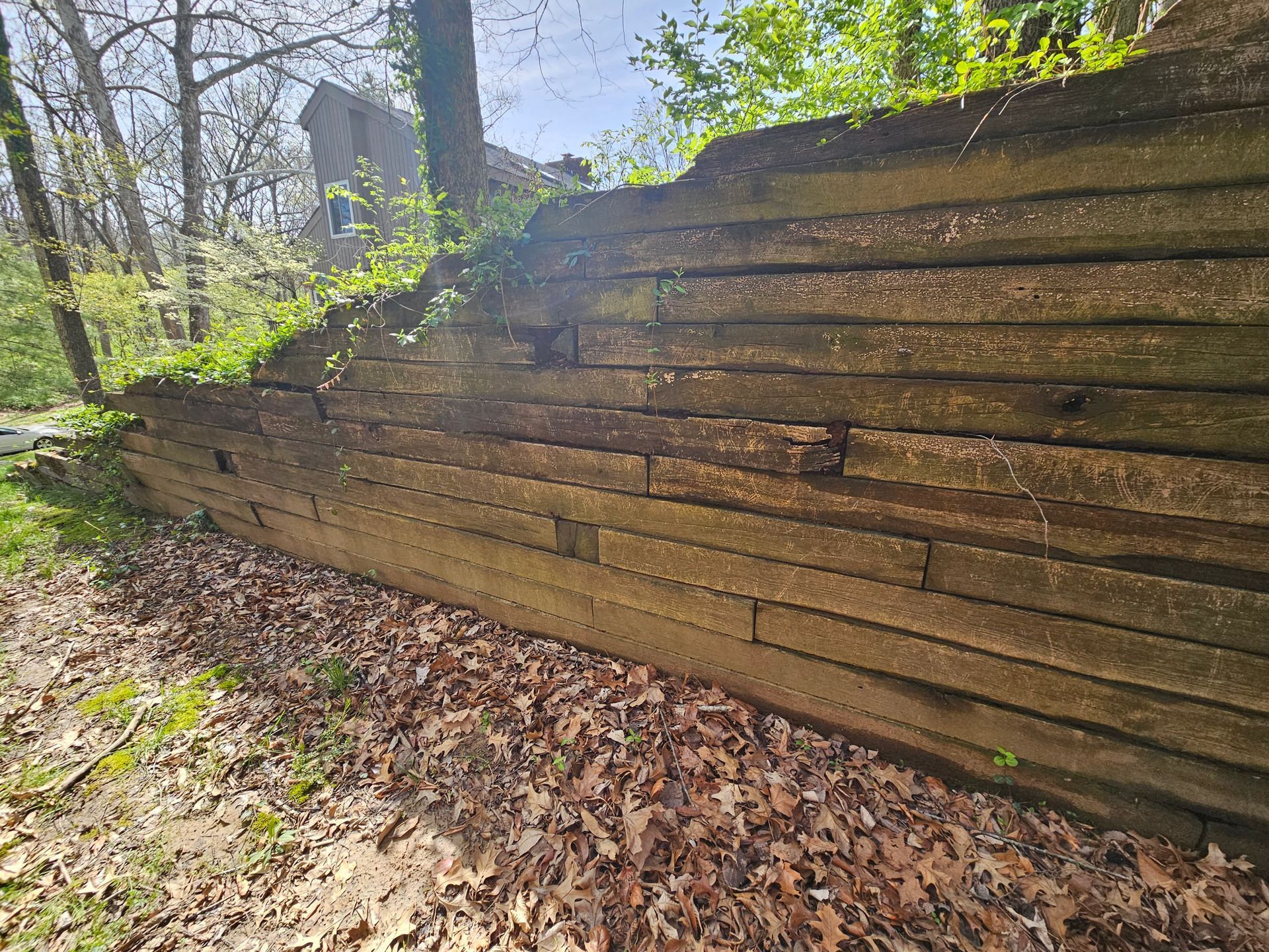 Stone wall, horizontal layers, covered with small plants. Brown leaves and foliage in the foreground.