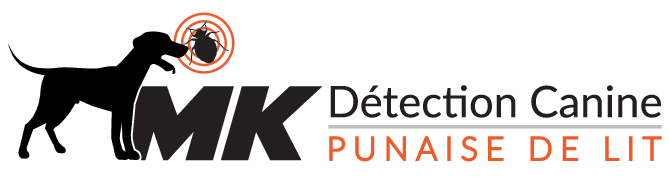 détection punaise de lit logo head