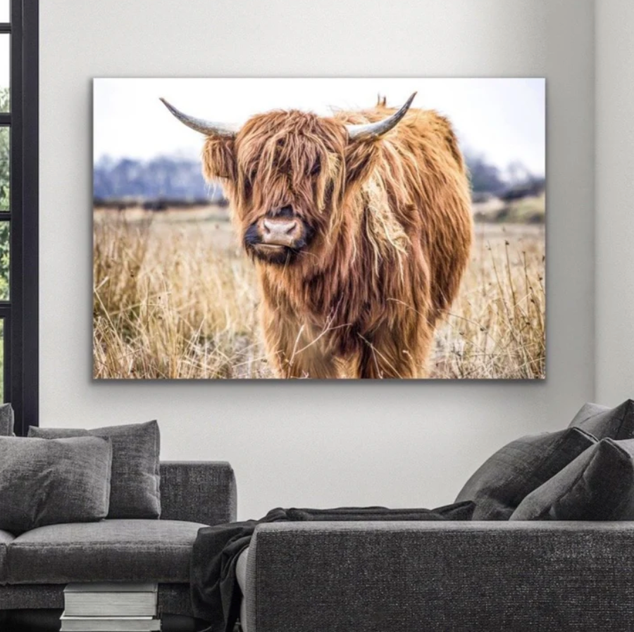 Canvas and Poster Printing