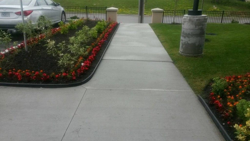 A concrete walkway with flowers on the side of it