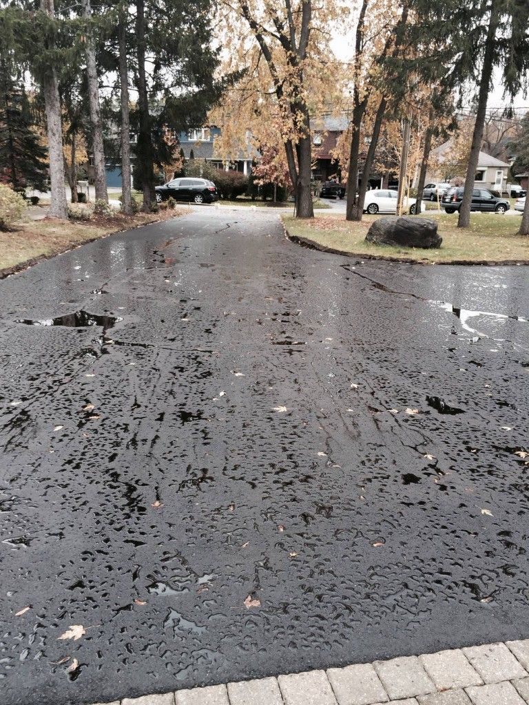 A very dirty driveway with a lot of leaves on it.