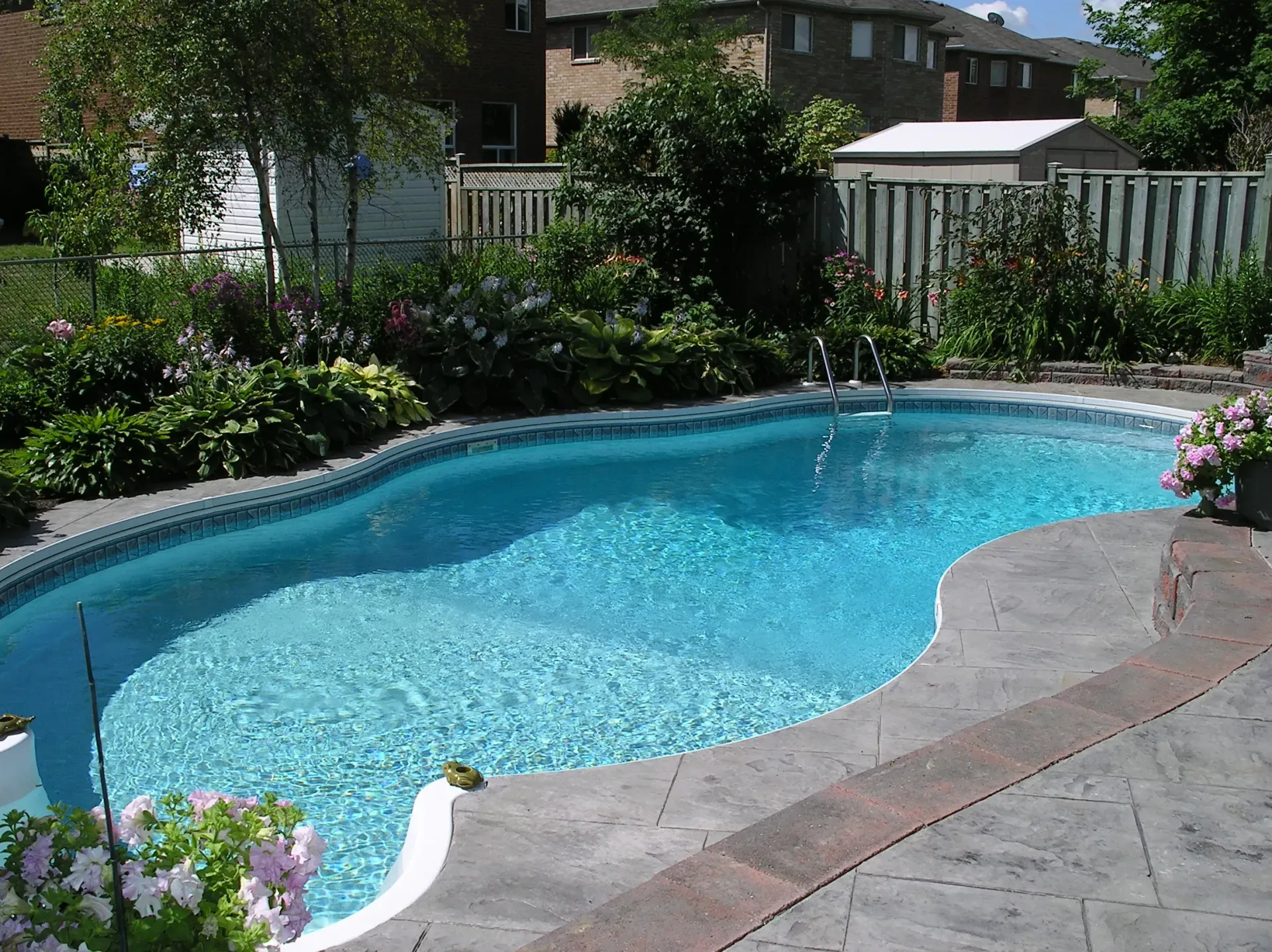 Pool in a backyard with a concrete patio and surrounding greenery.