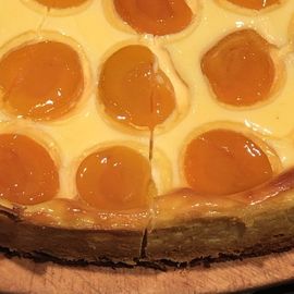 Aprikosen Käsekuchen