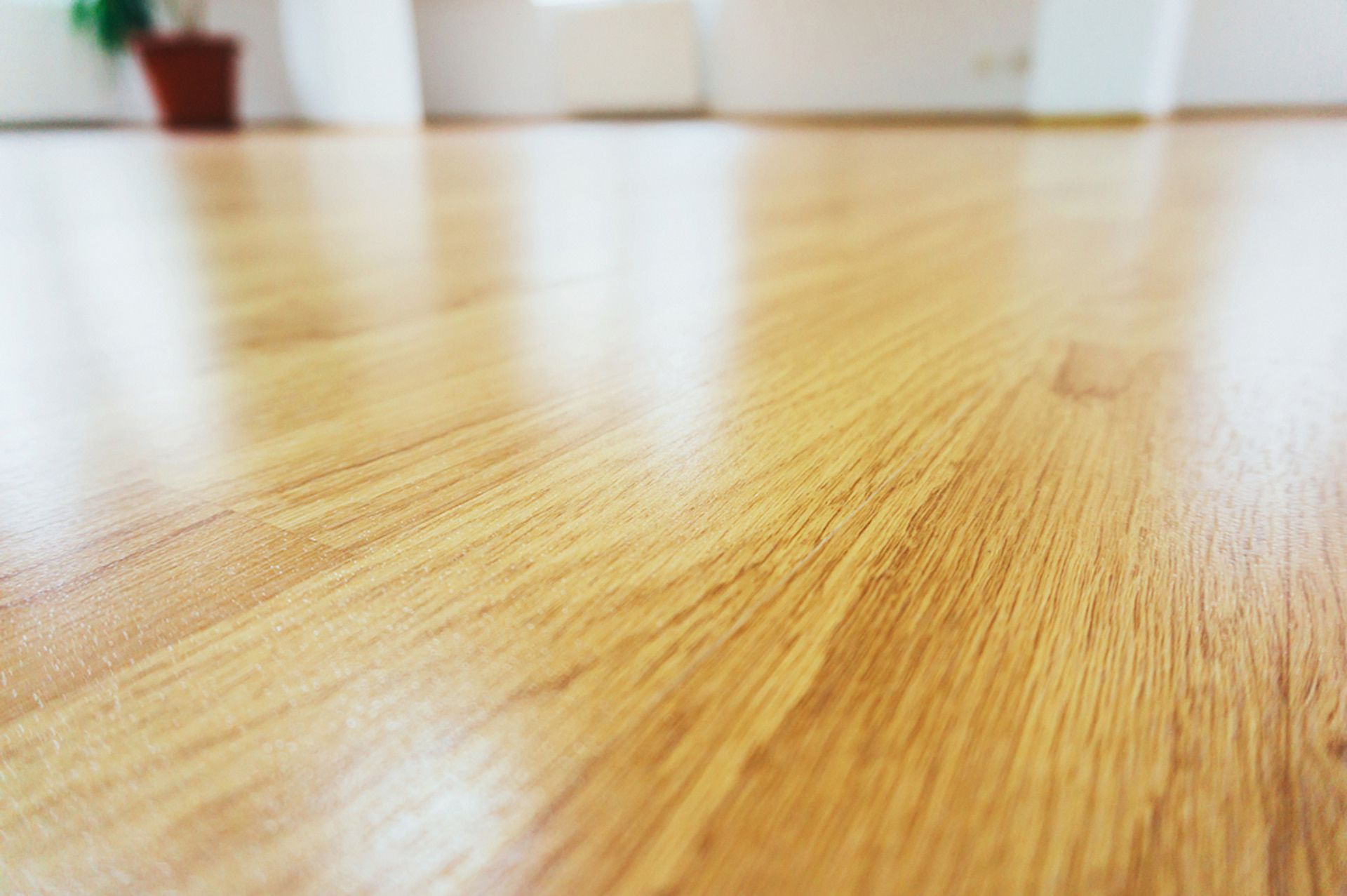 Close-up of shiny, light brown wooden floor with reflections. — Unique Waterproofing Solutions in North Rocks, NSW
