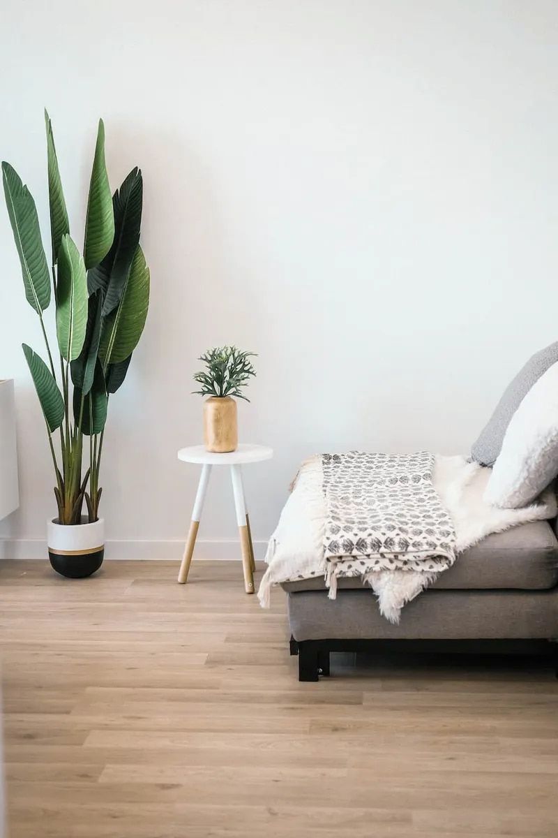 Living Room With Gray Sofa, Side Table and Two Plants — Unique Waterproofing Solutions in North Rocks, NSW