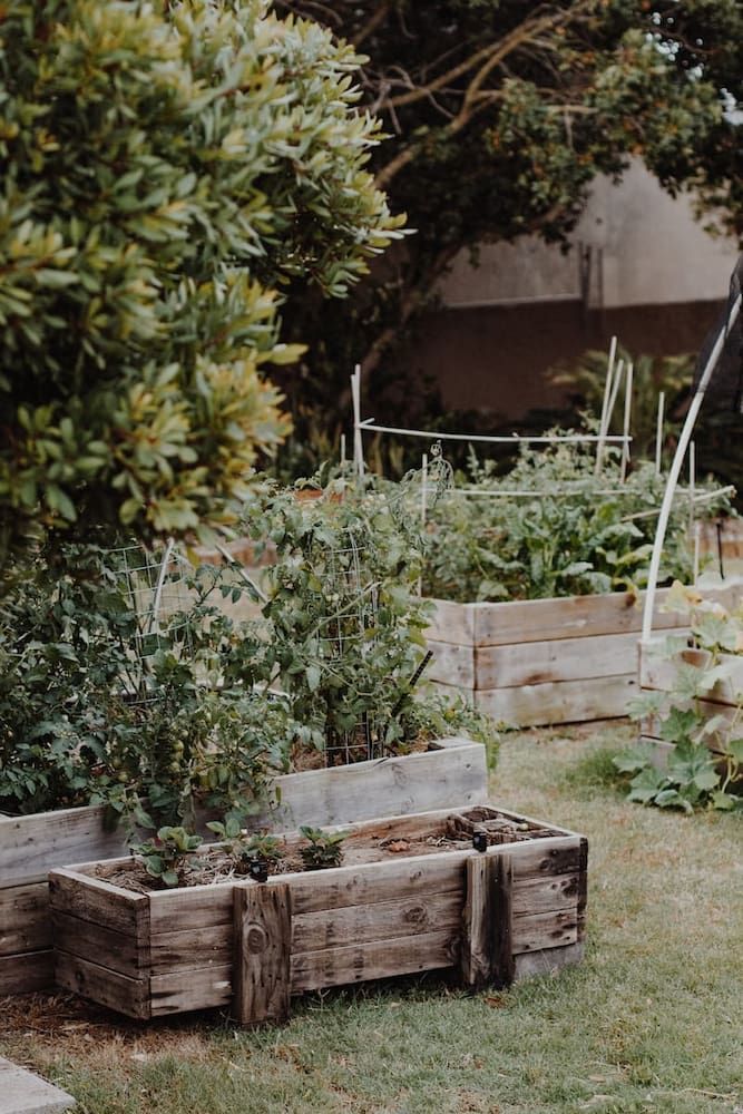 Wooden Raised Garden Beds With Lush Plants, on Green Grass — Unique Waterproofing Solutions in North Rocks, NSW