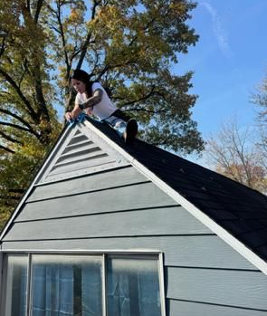 Person crouching on the peak of a gray house roof beside a large tree under a blue sky