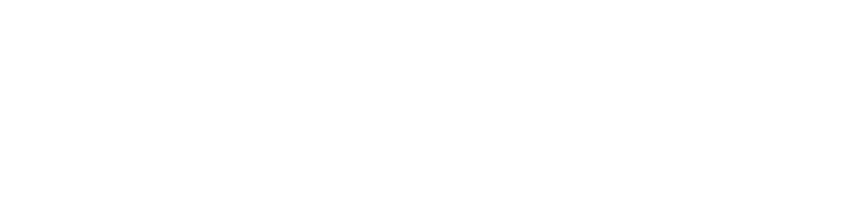 A white logo for Bullsai