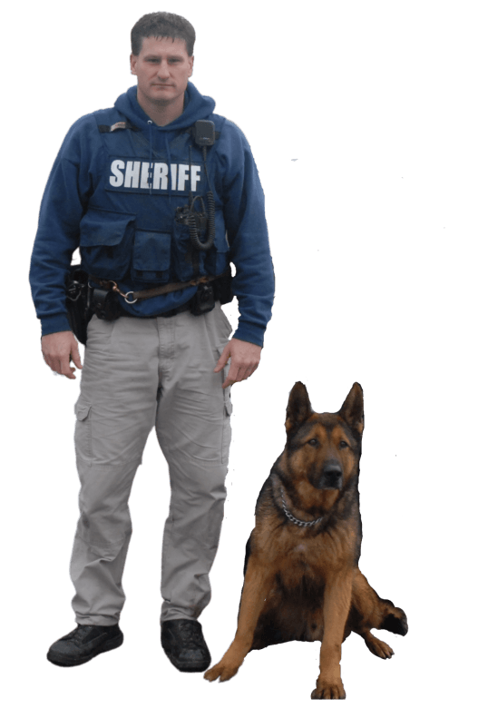 A sheriff stands next to a german shepherd dog