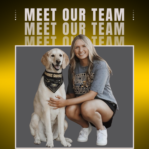 Image of woman hugging a retriever on Midwest Dog Center 