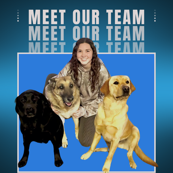 Image of smiling woman with 3 dogs on Midwest Dog Center 