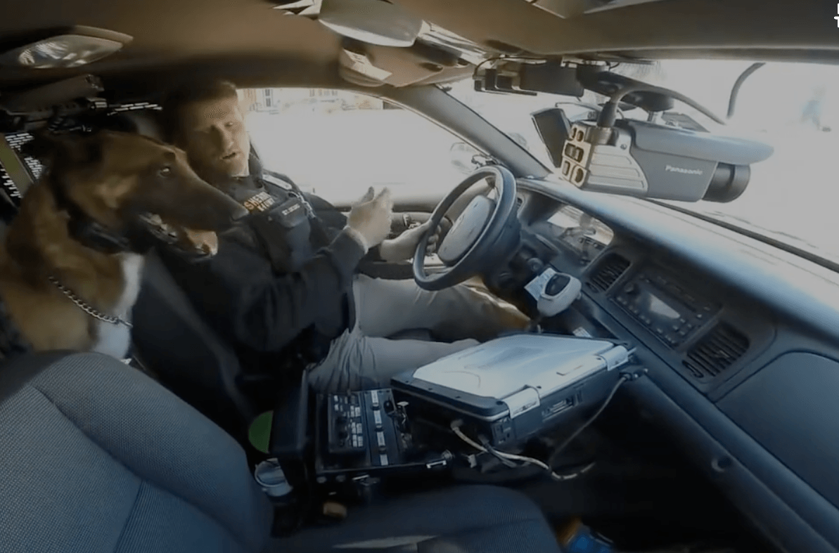 A police officer is driving a car with a dog in the back seat.