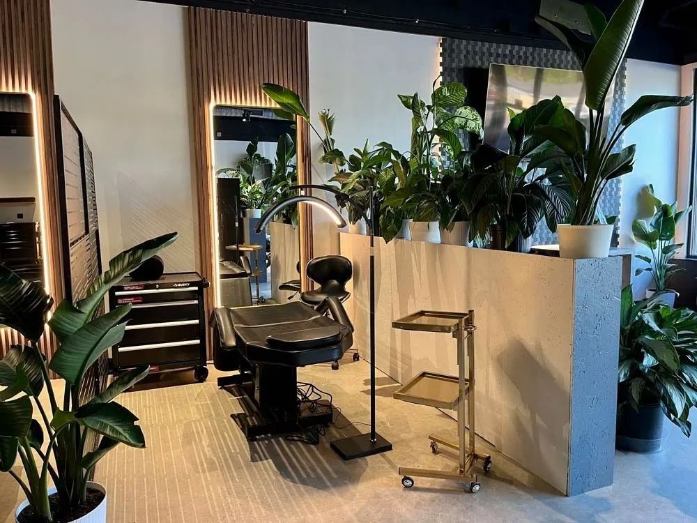 Modern salon interior with styling chair, mirror, plants, and a beige partition wall