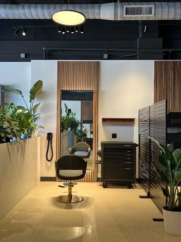 Modern salon interior with styling chair, mirror, plants, and black storage cabinet