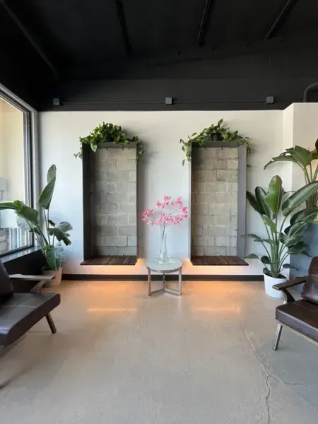 Modern lobby with stone water features, potted plants, and a pink orchid centerpiece on a small table.
