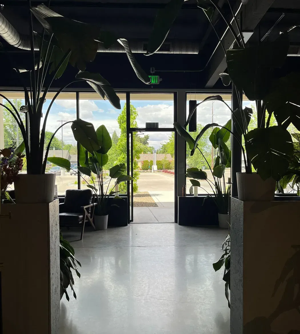 Plant-filled indoor hallway opening to a bright outdoor entrance.