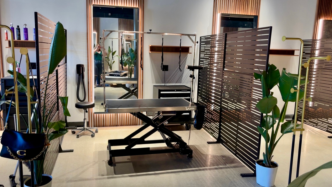 Modern rehab clinic with treatment table, privacy screens, exercise equipment, and potted plants