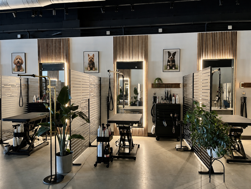 Dog groomer bathing a small curly dog in a dimly lit pet salon, with another dog waiting nearby