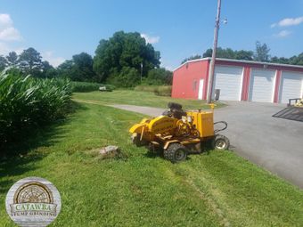 Stump Grinding