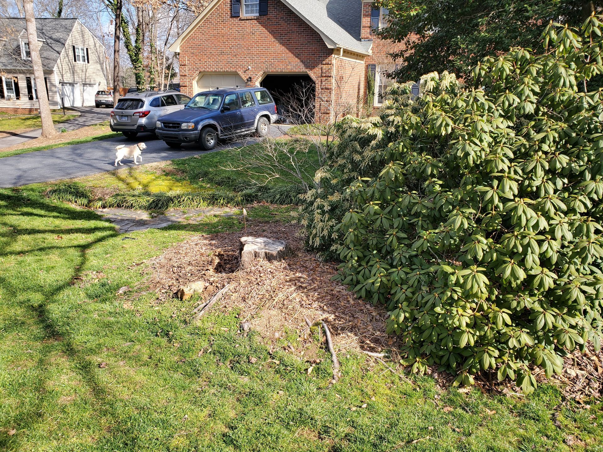 A stump on the edge of a flower bed.