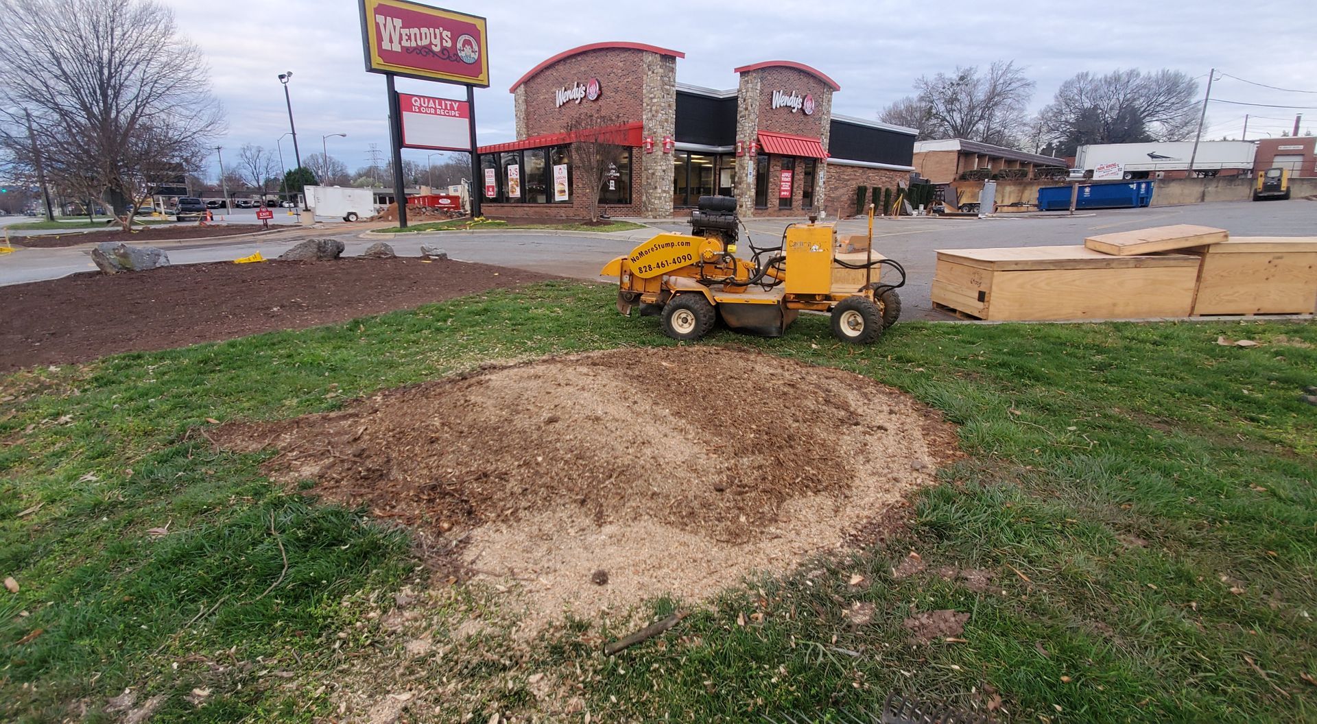 Photo after the stump was removed.