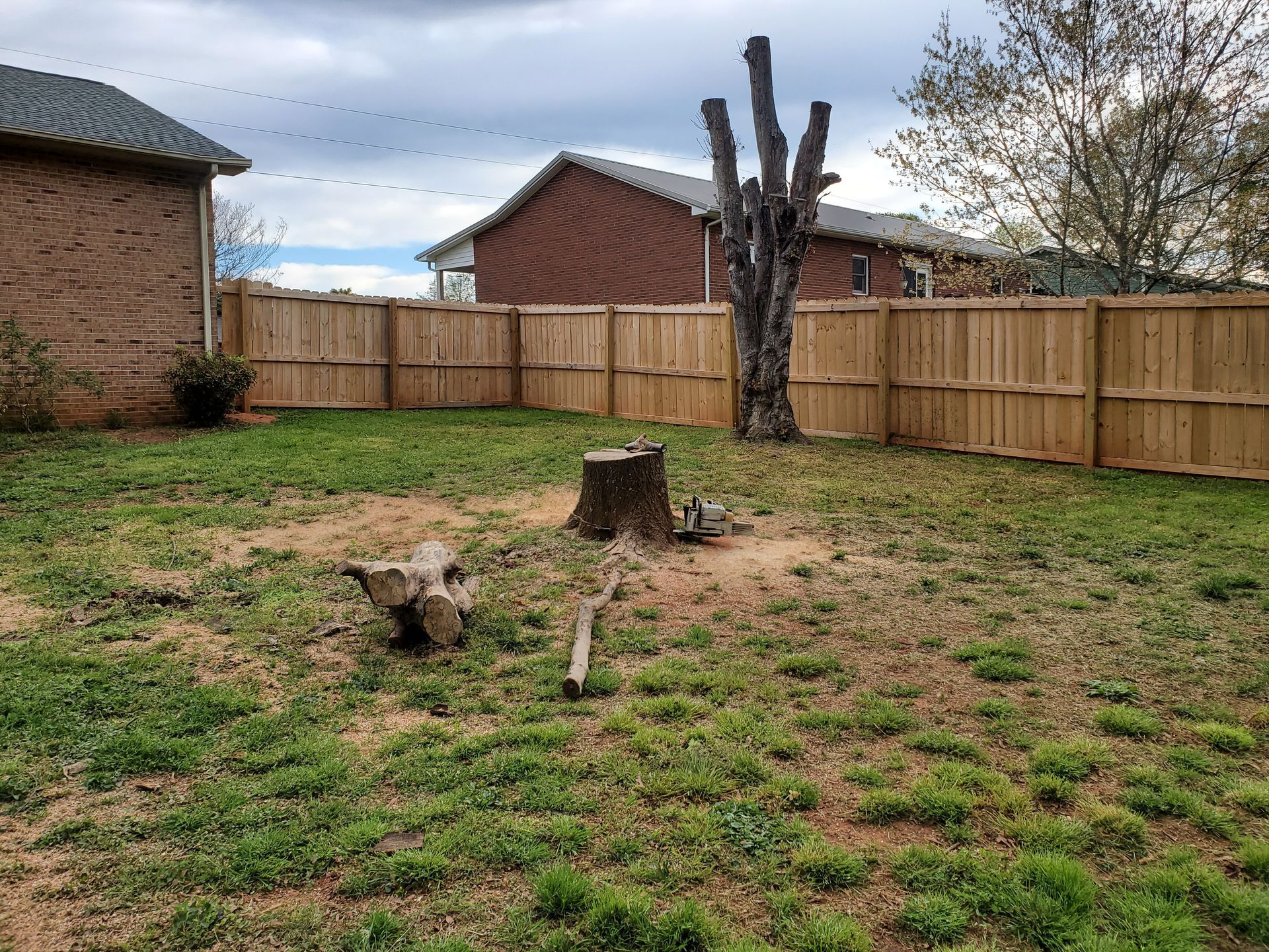 A stump and part of a tree in a backyard next to a fence.