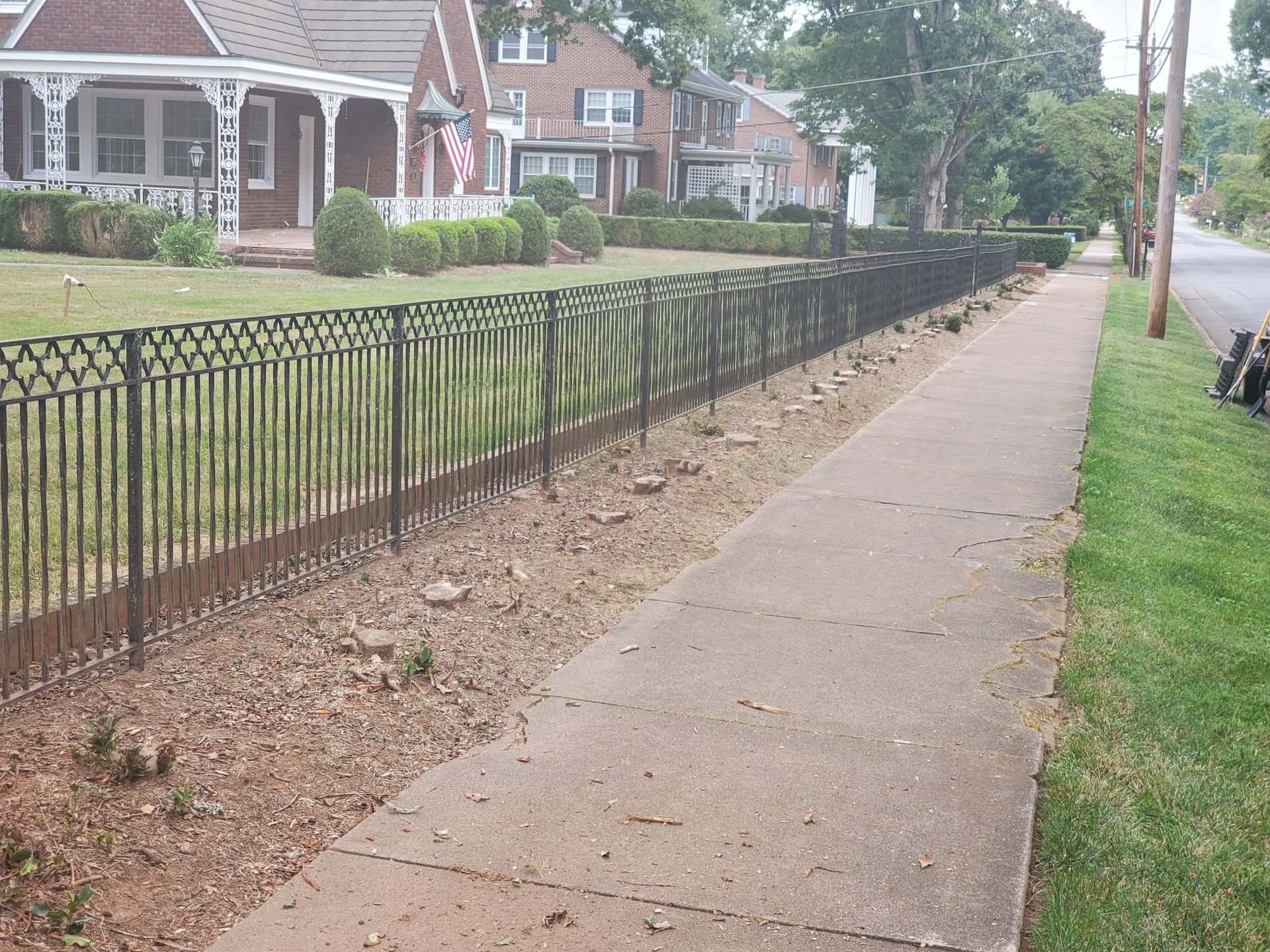 Before grinding.  A lot of small stumps between a fence and a sidewalk.