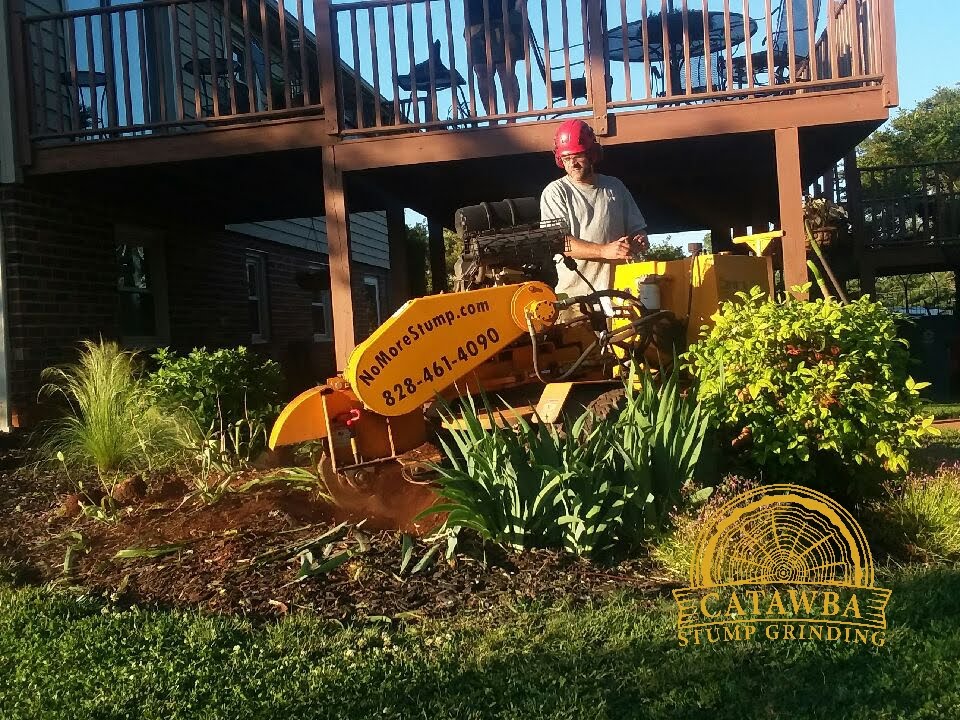 Grinding stump in a flower bed next to a deck with a Carlton stump grinder.