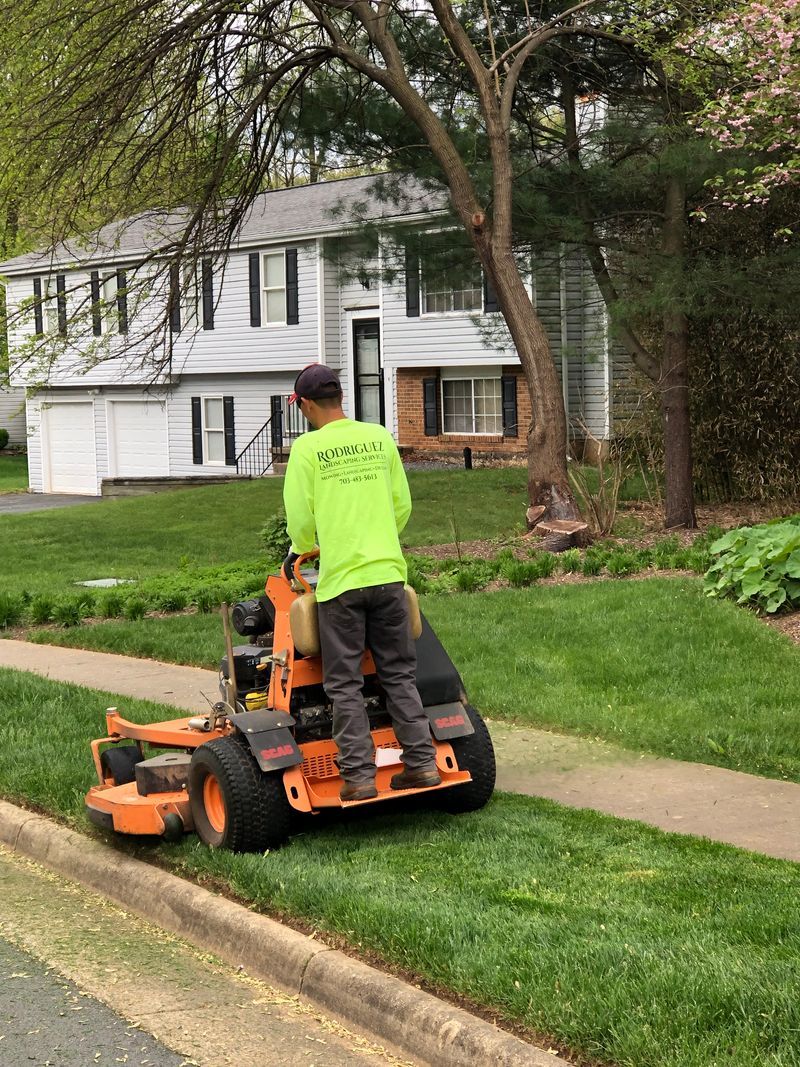 Worker operating an orange lawn mower along a sidewalk in a residential neighborhood