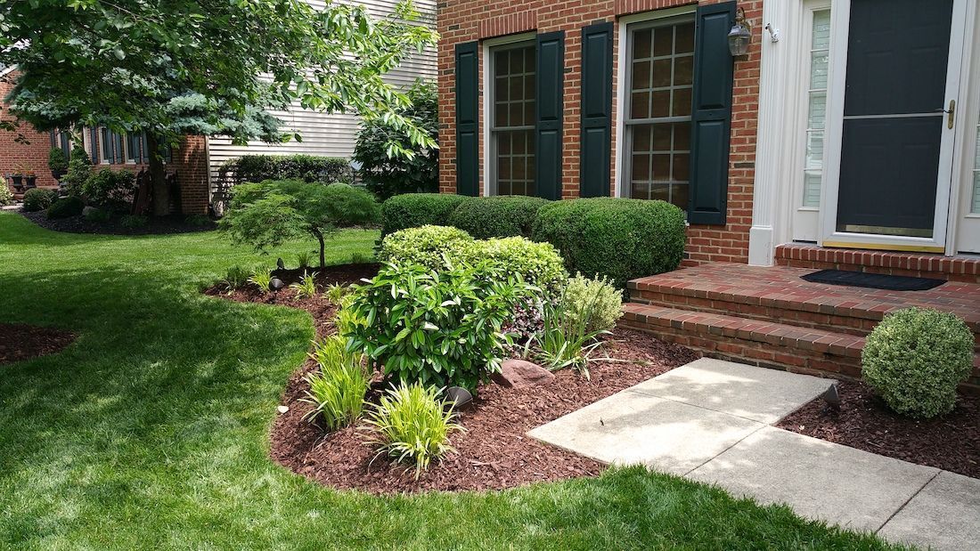 Front yard landscape with shrubs, mulch beds, brick house, and a concrete walkway