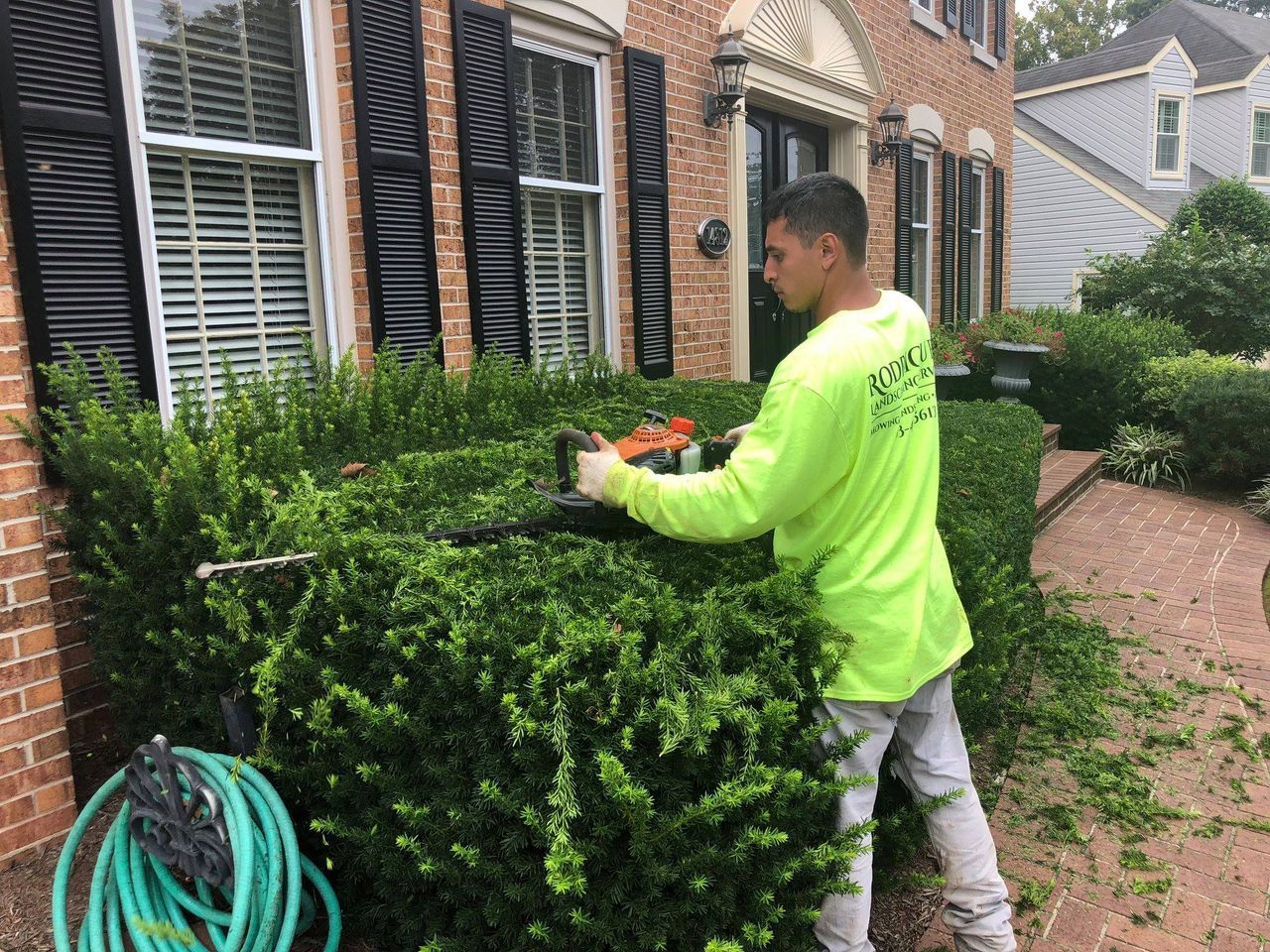 Worker trimming a hedge outside a brick house, with a green hose in the foreground.